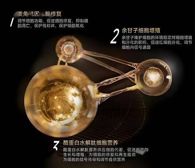 人工智慧时代呼唤网络保养新范式